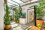 The exotic interior patio plant